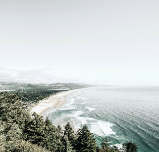 Shoreline landscape with beach and forest in Oregon photo