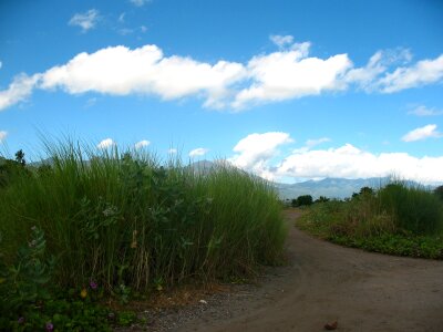 Mountain grass landscape