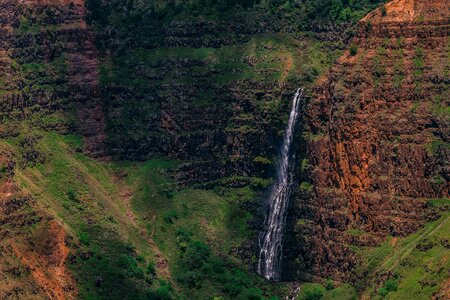 Canyon environment forest