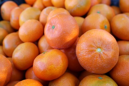 Fruit food citrus photo