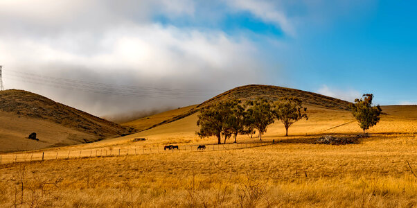 Landscape of farms with livestock under clouds in California photo