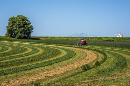 Red tractor in the field photo