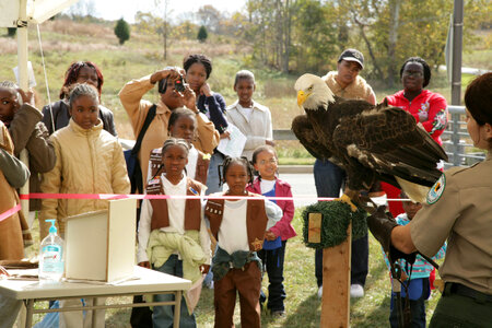 Environmental educator with Bald Eagle-1