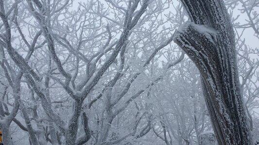 Deogyusan mountains is covered by snow in winter,South Korea photo