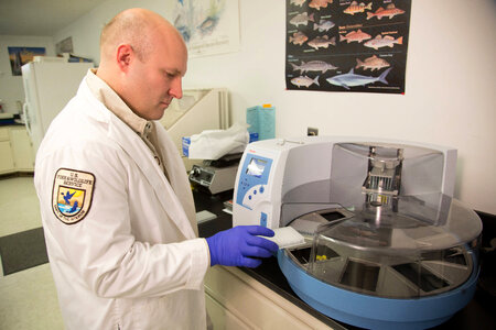 Geneticist at work in laboratory