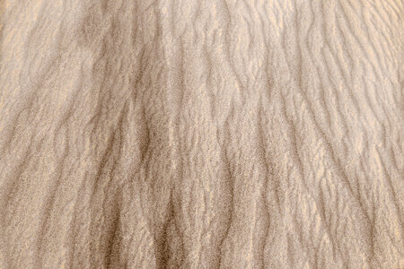 Sand texture. Sandy beach for background. Top view photo
