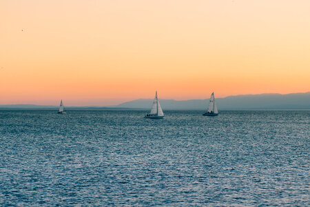 Sea Sail Boats Sunset