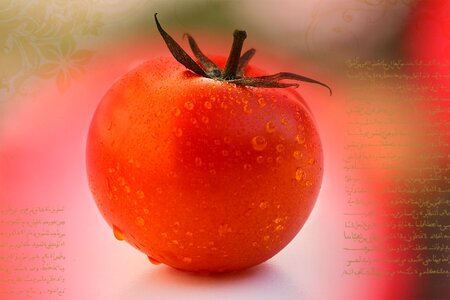 Wet red healthy