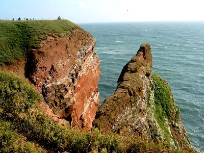 Cliffs lummenfelsen sea photo