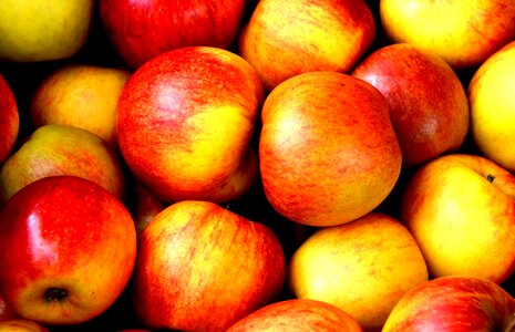 Agriculture apple delicious