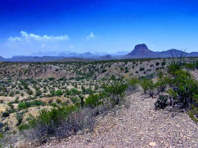 Mountains plants sky photo