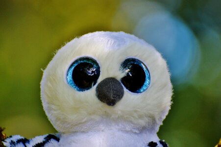 Feather glitter eyes stuffed animal
