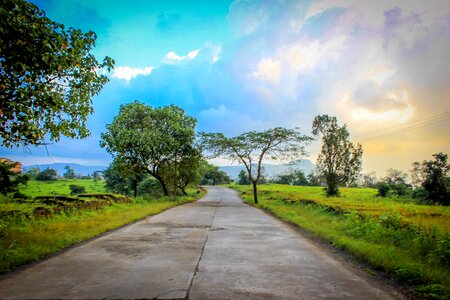 India fields land photo