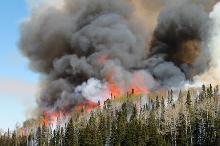 Flames and smoke rise from the South Monroe photo