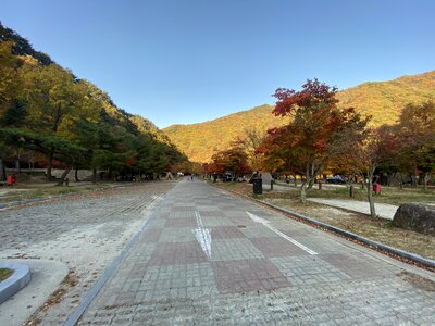 Dalgung Auto Camp ground