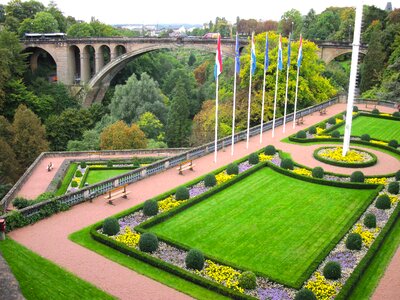 Flowers grass bridge photo