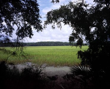 Countryside greenery scenic