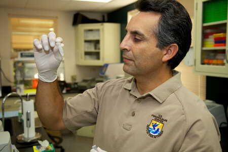 Service scientist at Lower Columbia River Fish Health Center-1 photo