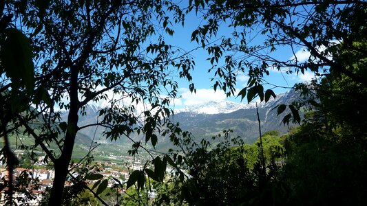 Tappeiner panorama spring
