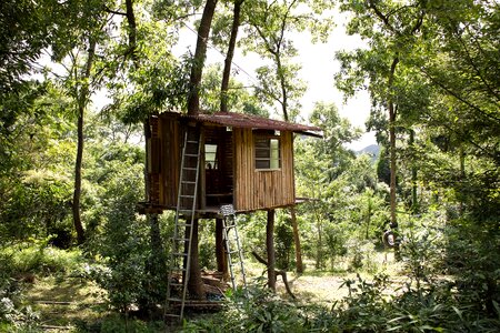 Wooden house in the woods photo