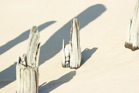 France phylum strand