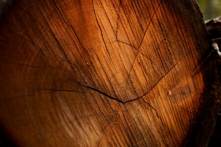 Pattern stubs forest