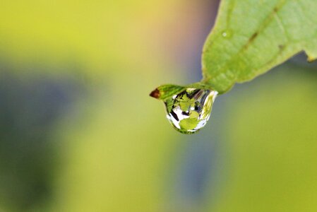 Beautiful Image beautiful photo biology