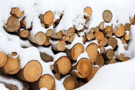 Winter energy firewood photo