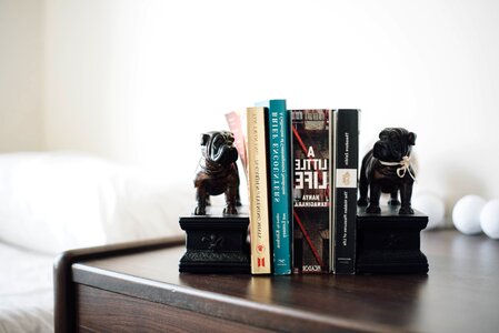 Book books bookshelf