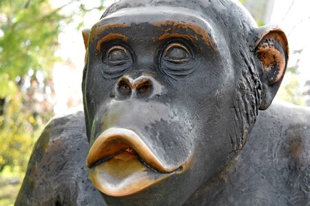 Bronze monkey sculpture photo