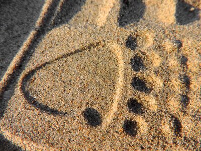 Footprint sand beach photo