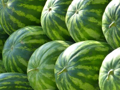 Water melons fruit green