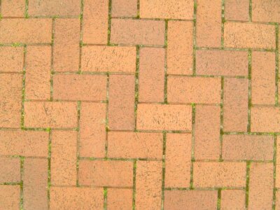 Orange red structure