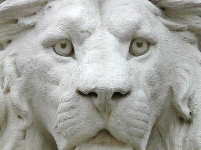 Gypsum white animal