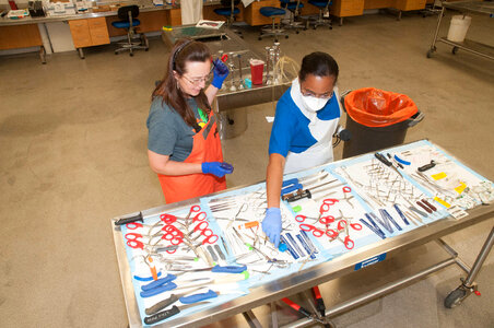 Marine Mammal Stranding Course at NCTC-3 photo