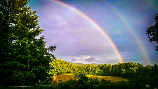 Double Rainbow over the Sky and Forest photo