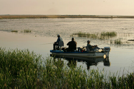 Three men fishing at Lacassine National Wildlife Refuge photo