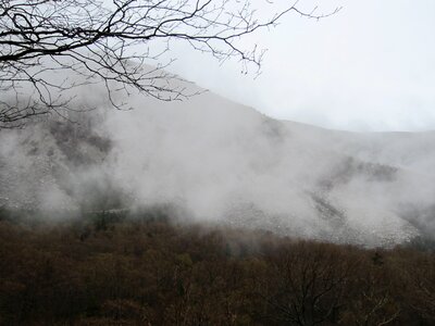 Fog foggy hiking