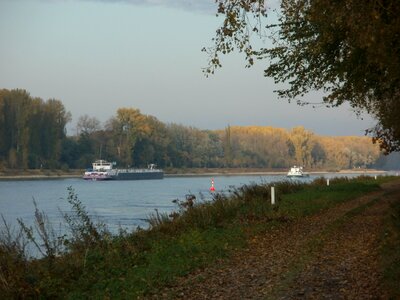Rhine river in Rheinheim Germany photo