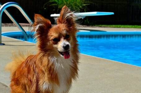 Cute summer portrait