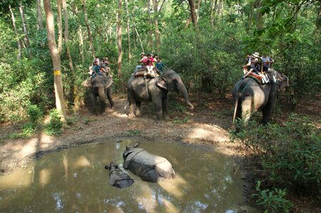 Chitwan elephants ride photo