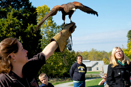 Raptor activity at the National Conservation Training Center Open House-4