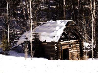 Nature log cabin photo