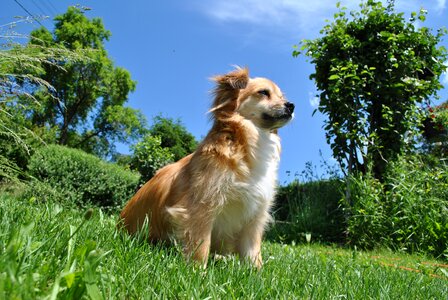 Grass cute sweet