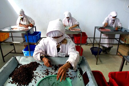 Afghanistan Afghanistan Asia