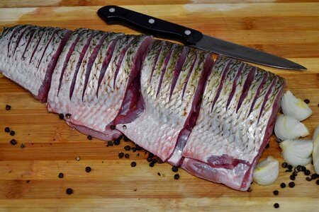 Fillet fish fresh photo