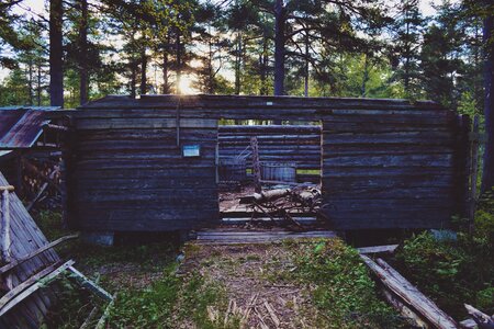 Abandoned forest shack