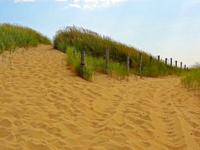 Summer nature reserve beach photo