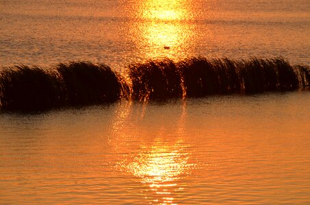 Sun glow reflect