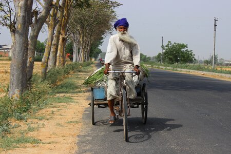 Road highway greenery photo